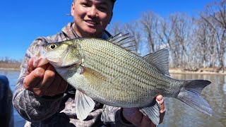 Unbelievable Outing Fishing on the Great Mississippi River (White bass+Walleye+Sauger)