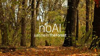 Raven Calls in an Autumn Forest | Woodland Ambience for Focus & Calm