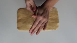 6.Bacterial Cellulose: Coconut oil coating of air-dried sheet