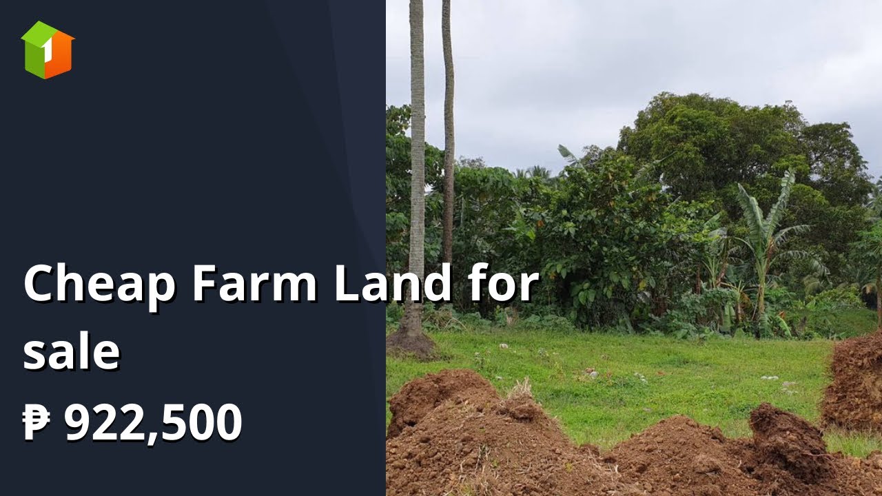 Cheap Farm Land for sale YouTube