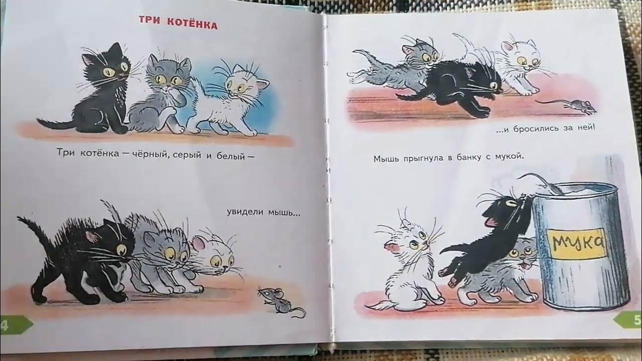 Федин котенок 3 полностью. Сутеев 3 котенка. Сутеев в. "три котенка". Три котенка сказка Сутеев. Книга Сутеева три котенка.
