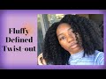 Fluffy Defined Twist-out