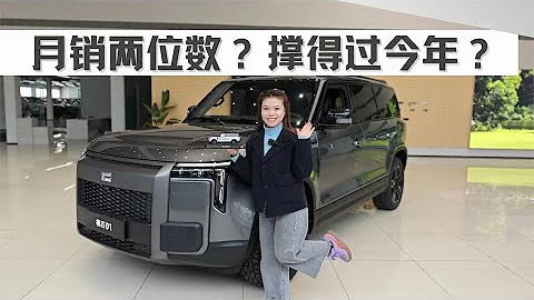 全國月銷量只有2位數，探店極石01，真的不行嗎？ - 天天要聞