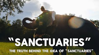 Are sanctuaries doing what’s best for elephants?