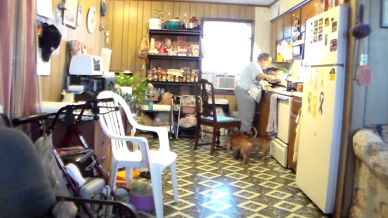 Earl says White Dog peed on chair YouTube