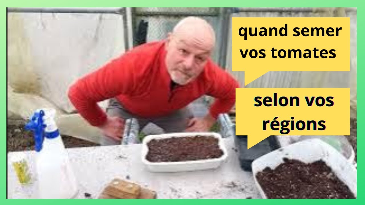 Quand semer vos tomates ? : selon vos régions !