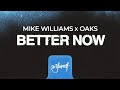 Mike Williams Oaks Better Now Official Audio mp3