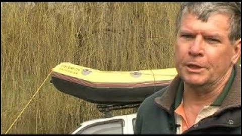 Willow Poisoning using Chisel and Mallet