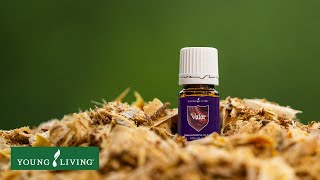 Welcome back a courageous classic! Valor® essential oil blend