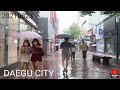 [korean walk] 20210823Korea Daegu Today it is raining heavily in, See how beautiful girls umbrellas
