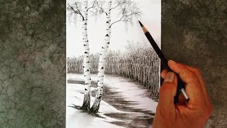 How to draw a pencil drawing of birch trees landscape in ice place
