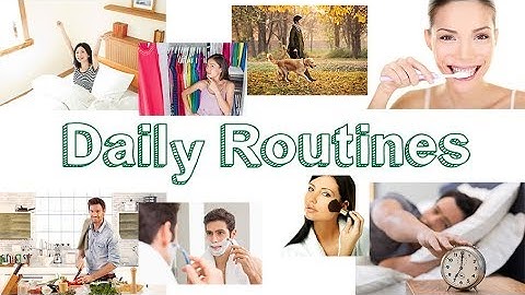 Daily Routines