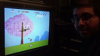 Let's Wing It! Bird Week on Famicom - YouTube