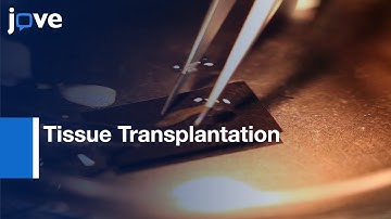 Planarian Immobilization, Partial Irradiation, & Tissue Transplantation l Protocol Preview