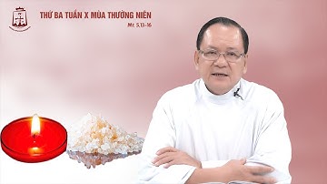Lời Chúa - Thứ Ba Tuần X Mùa Thường Niên 13/06/2023