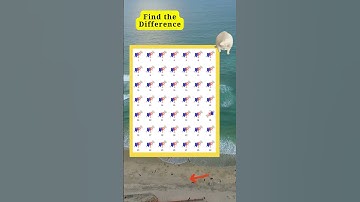 find the diff #144 #difference spot #easy