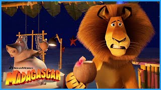 You call that Food!? | DreamWorks Madagascar by DreamWorks Madagascar 55,322 views 3 weeks ago 9 minutes, 22 seconds