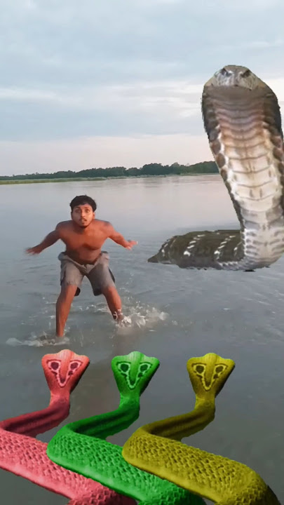 Visok Shree Vishnu#senek aya#hara hara#Shambhu#kedarnath#vfx#short#video