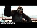 Aleks born - scum (Phonk Music) _ RISE OF THE PLANET OF THE APES