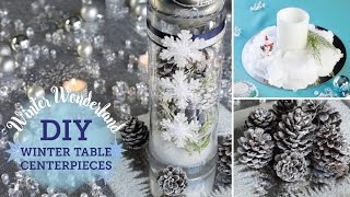 Make your own snow and create three beautiful looks for your table! For two of these centerpiece DIYs we used Snow Real Instant 