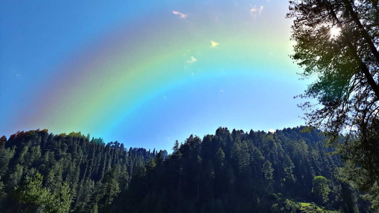 NATURE || NATURE CINEMATIC VIDEO || NATURE TRAVEL VIDEO || NATUREHAB