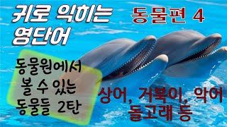 동물4. 영어로 동물원 구경가요. | 🦓🐢🐳🦈🦎 영어로 동물이름 말하기 | 동물원에서 만날 수 있는 동물의 영어이름