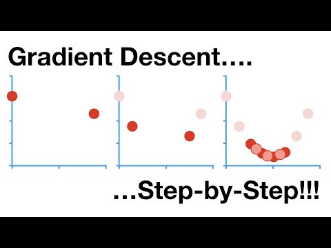 Vídeo: Per què descens de gradient estocàstic?