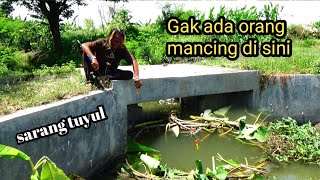 Plung Nyut!!! Mancing ikan di sarang Tuyul screenshot 4