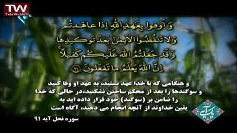 سوره نحل ، آیه ۹۱