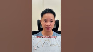 Cá voi Bitcoin giảm nắm giữ – Cảnh báo hay chuẩn bị sóng mới?