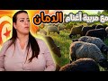 شراو دمان المغربيمن المملكة شريفةوسثتمرو به في تونس ونجحو بتكوين قطيع والمساهمة في سد الحاجيات mp3