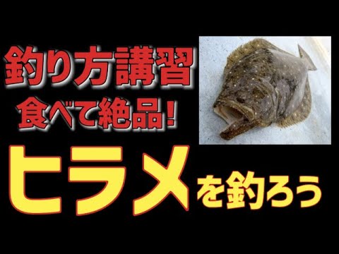 【ヒラメ完全攻略ガイド】おすすめルアー５選と釣り方講習！