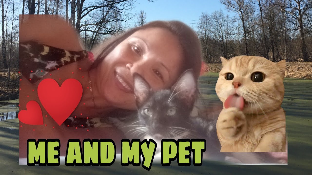 me and my pet - YouTube