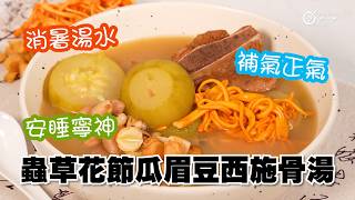 消暑湯水｜補氣正氣｜安睡寧神｜全家啱飲｜蟲草花節瓜花生眉豆瑤柱煲西施骨湯｜非常適合夏天嘅家常靚湯，正氣得嚟可以清暑熱，同時補氣健脾、安神助眠，味道鮮甜易入喉，一家大細都啱飲