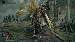 ELDEN RING - Parry Practice on Margit Aaaannndd I Accidentally Killed Him