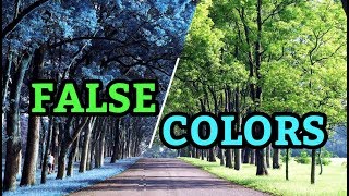 False Colors Effect on Picsart