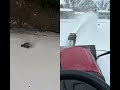 Minnesota snow #traxxasracing #snow #minnesota