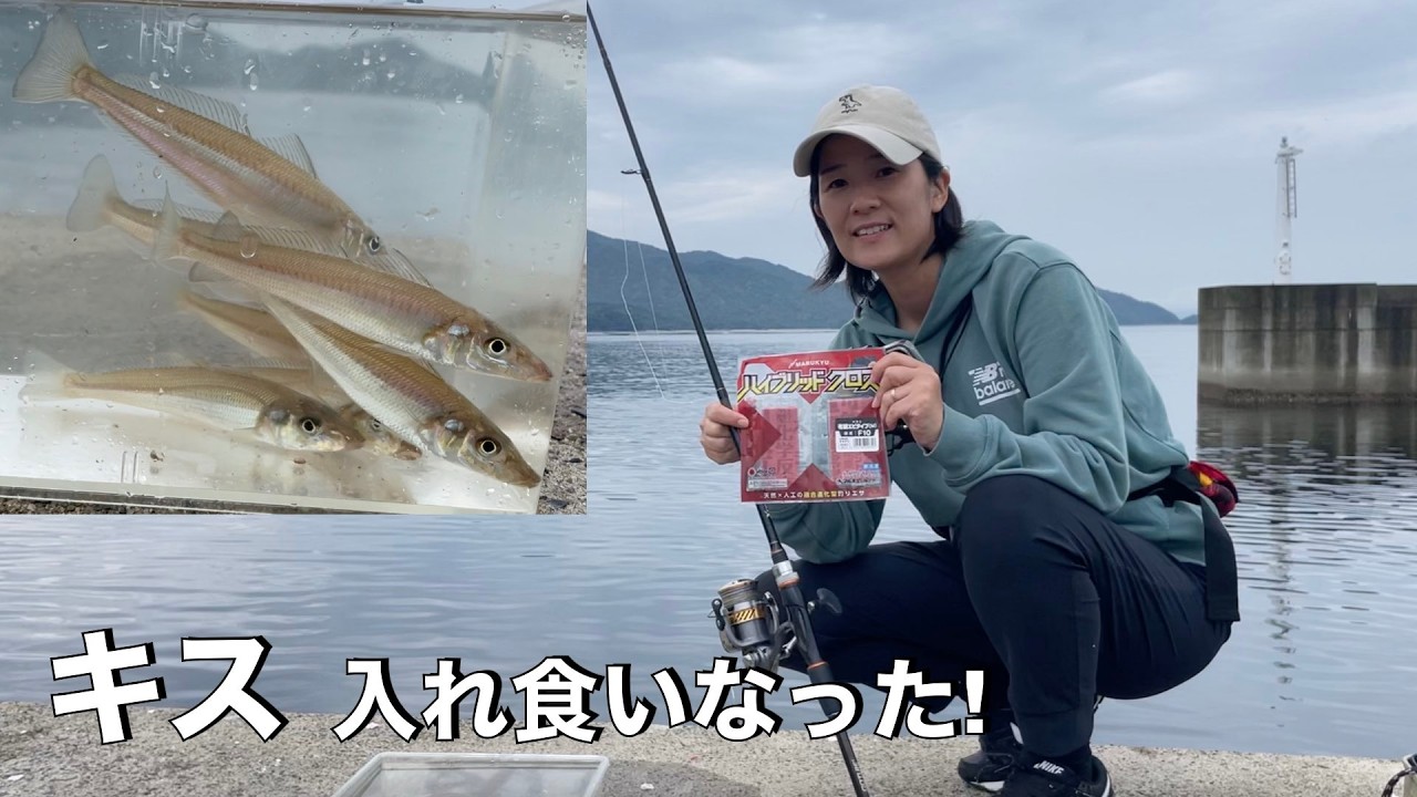 海釣り Can You Really Catch Whiting with Hybrid Cloth in Hiroshima Waters