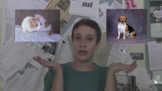 P4A 2011: Humane Society