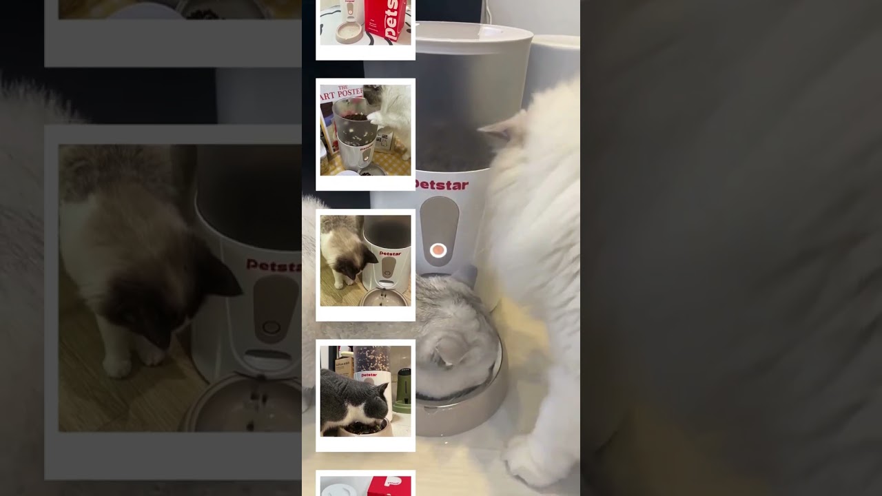 Petstar Smart Feeder A Thoughtful Solution for Every Meal!