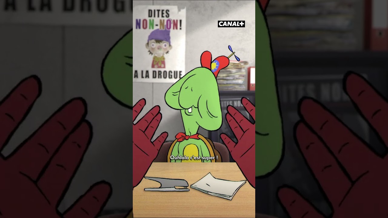 Meet Frankuldeux 🐢 