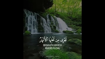 ارح قلبك بٱيات الله 😍🤍 القارئ حسين طيار
