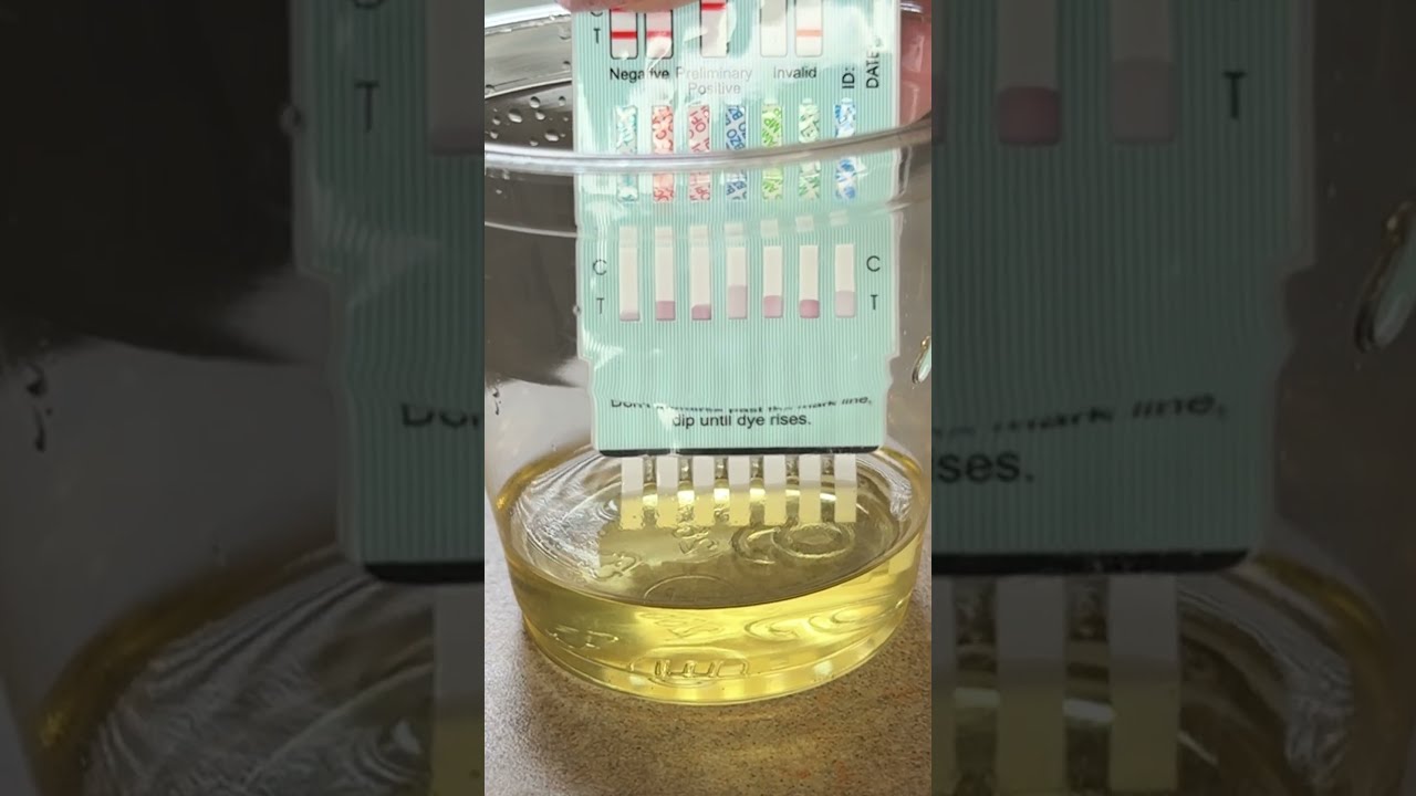 Easy Home Multidrug Screen Test At Urine Drug Testing Kits For All Drugs