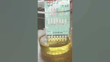 Easy@Home Multidrug Screen Test   At Home Urine Drug Testing Kits For All Drugs