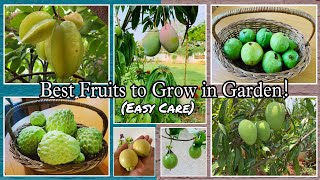Best Fruit Plants To Grow In Home Garden Low Maintenance Plants Organic Garden Harvest India