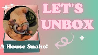 Unboxing An African House Snake!