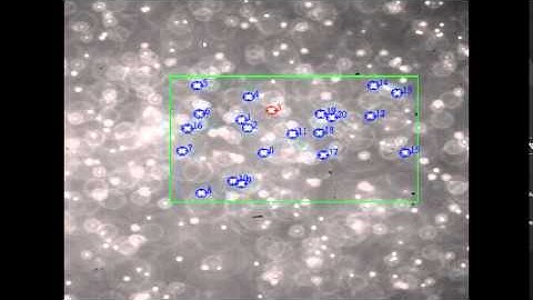 particle tracking microrheology