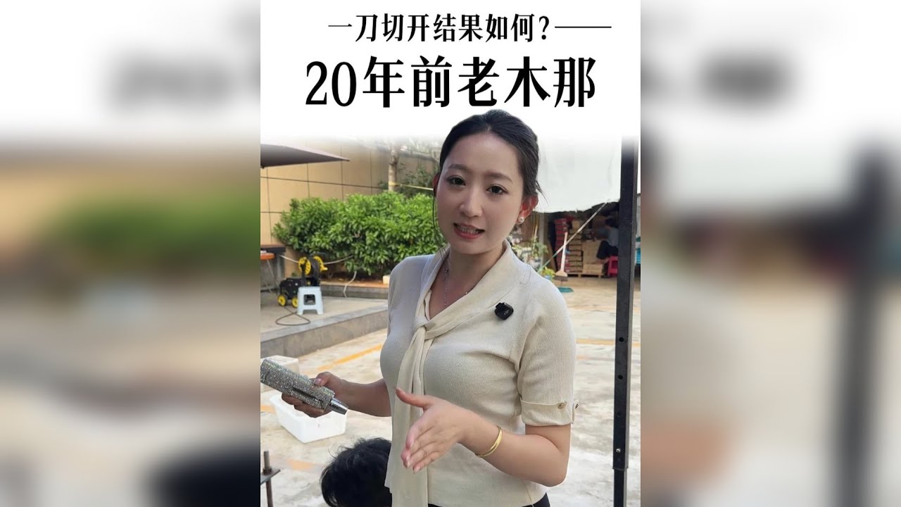 开窗已经100多万的翡翠，现在开切