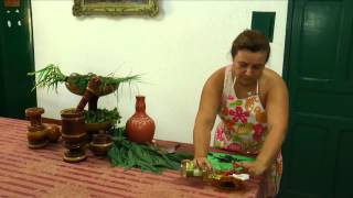 Introdução ao Curso de Plantas Medicinais 8