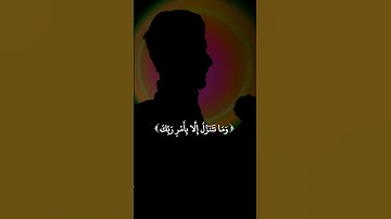 تِلۡكَ ٱلۡجَنَّةُ ٱلَّتِي نُورِثُ مِنۡ عِبَادِنَا مَن كَانَ تَقِيّٗ|القارئ عبدالصاحب #قران_كريم